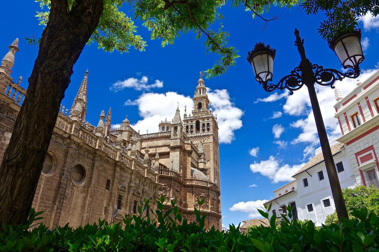 Hostly Acetres 1A Loft In City Center, Comunal Terrace, Fibre,Parking Optional Sevilla Exteriér fotografie